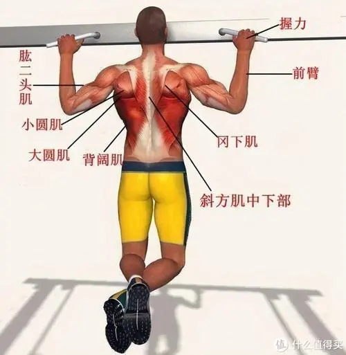 <strong>天博体育官方平台入口：网球拍多久需要换拍子呢</strong>